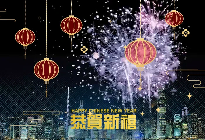 No.55 煙花賀歲 2